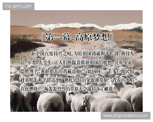 追寻那份纯粹足球精神的明星背后故事与荣耀之路