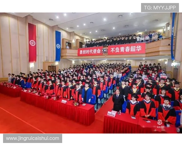 杭州排球队的成长之路挑战赛特别报道见证青春与拼搏的故事